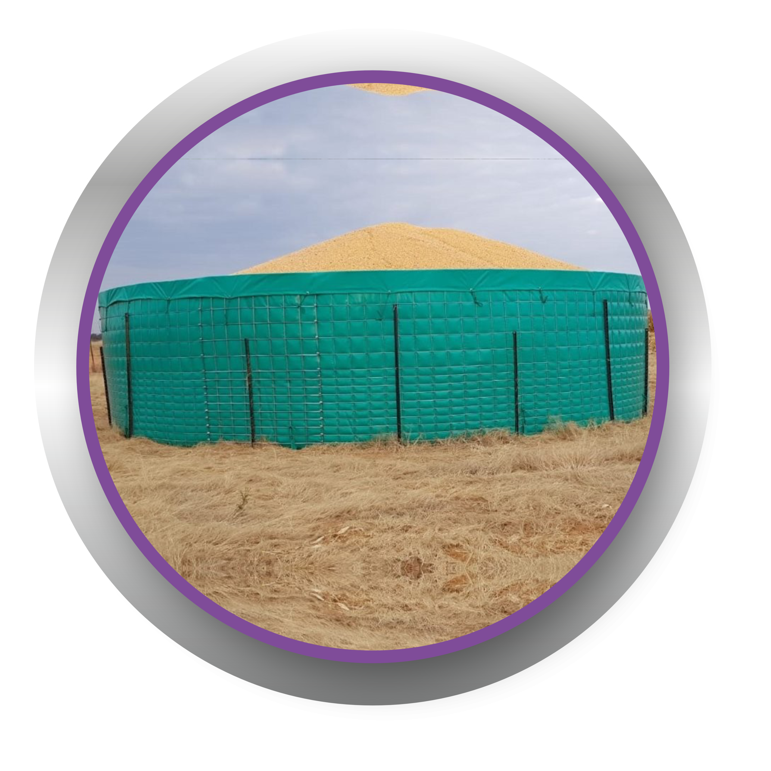 tarps 2